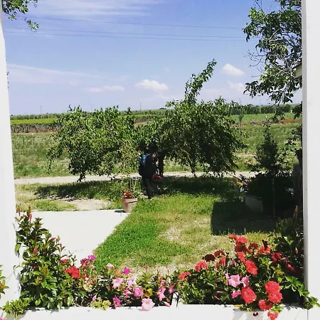 Gospodarstwo agroturystyczne Masseria Mascitelli Orta Nova