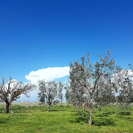 Masseria Mascitelli * Orta Nova