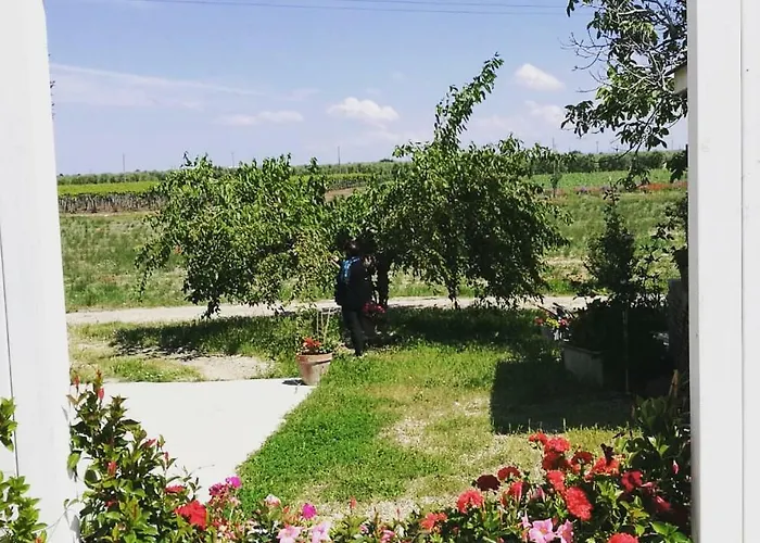 Bauernhof Masseria Mascitelli Orta Nova