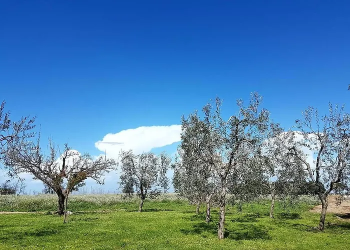Masseria Mascitelli * Orta Nova