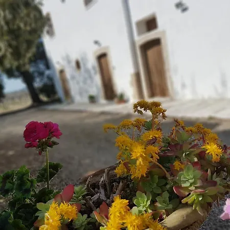 Masseria Mascitelli Farm stay *